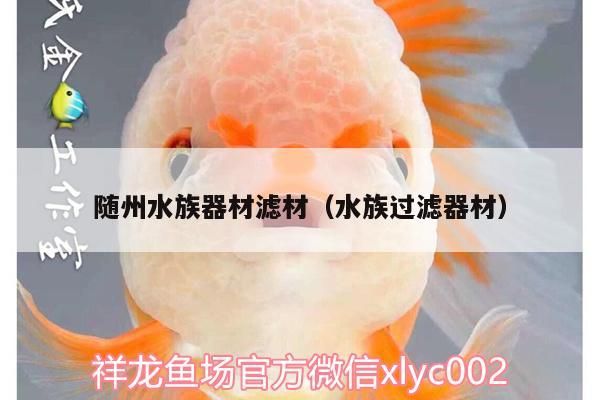 羅漢魚 隨州水族器材濾材(水族過(guò)濾器材)(隨州水族器材濾材的特點(diǎn)) 觀賞魚百科 隨州水族器材濾材(水族過(guò)濾器材)(隨州水族器材濾材的特點(diǎn)) 隨州水族器材濾材(水族過(guò)濾器材)(隨州水族器材濾材的特點(diǎn)) 觀賞魚百科