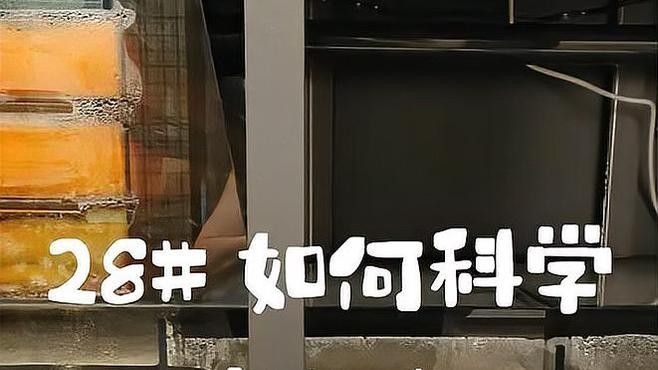 龍魚濾材多久需要更換（更換龍魚濾材的重要性）
