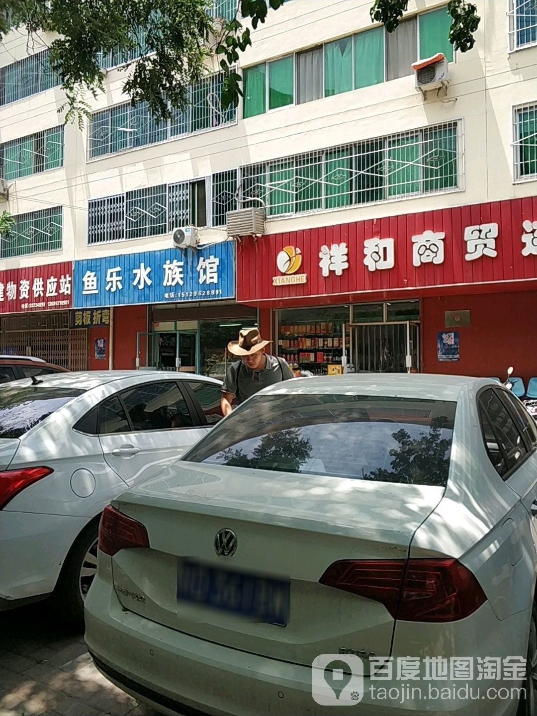 禮泉哪個水族館龍魚好？祥龍魚場龍魚（廣州龍魚祥龍魚場，極品祥龍魚場·進口元寶鳳凰魚場）