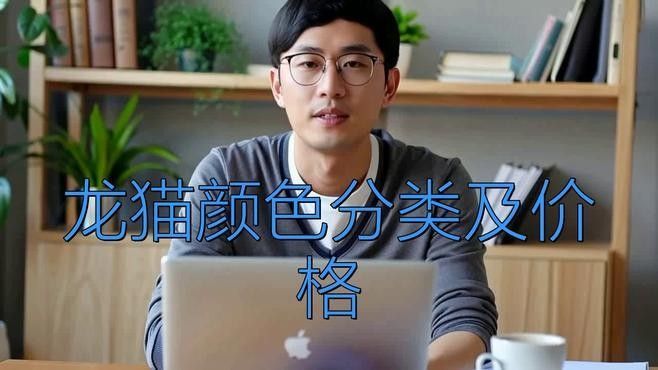 哪種顏色的龍貓最受歡迎（什么顏色的龍貓最受歡迎）