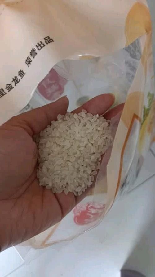 金龍魚廣西香米的價格是多少?(金龍魚廣西香米價格在每斤10-20元人民幣之間) 龍魚百科 第5張 金龍魚廣西香米的價格是多少?(金龍魚廣西香米價格在每斤10-20元人民幣之間) 金龍魚廣西香米的價格是多少?(金龍魚廣西香米價格在每斤10-20元人民幣之間) 龍魚百科 第5張