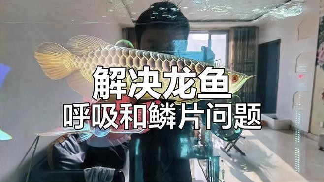 金龍魚頻繁張嘴喘氣會死嗎（金龍魚頻繁張嘴喘氣可能是缺氧的十大征兆）