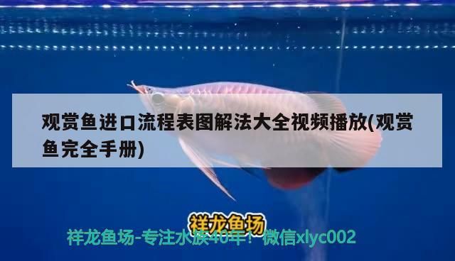觀賞魚進口流程表圖解法大全視頻播放(觀賞魚完全手冊)（觀賞魚進口流程表圖解）