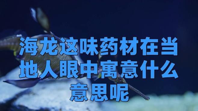 刺海龍的經(jīng)濟(jì)價(jià)值（刺海龍的市場價(jià)格是多少？）
