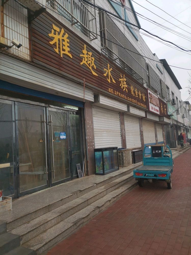 如何聯系聊城龍魚批發商？（如何聯系聊城龍魚批發商）