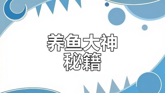 如何設置魚缸的隔離與緩沖區域？（亞克力魚缸隔離與緩沖區域設計策略愛我華夏飛翔斗魚生態缸）