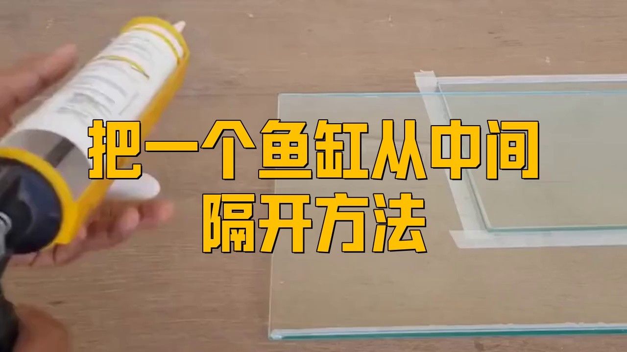 如何設置魚缸的隔離與緩沖區域？（亞克力魚缸隔離與緩沖區域設計策略愛我華夏飛翔斗魚生態缸）