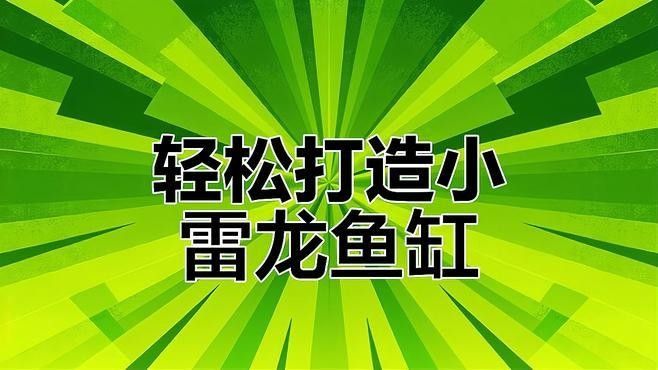 龍魚缸造景的步驟是什么？（觀賞魚世界，龍魚缸里怎么造景） 龍魚缸造景的步驟是什么？（觀賞魚世界，龍魚缸里怎么造景） 龍魚百科 第3張