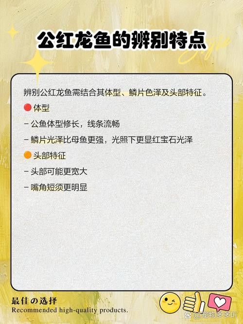 如何判斷紅龍魚的品質？（如何挑選優質的紅龍魚） 如何判斷紅龍魚的品質？（如何挑選優質的紅龍魚） 龍魚百科 第3張