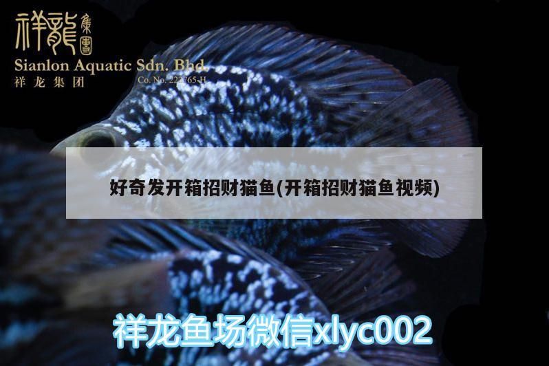 土霉素和甲硝唑哪個先用，土霉素和甲硝唑不建議同時使用