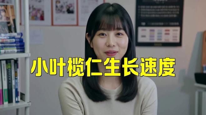 欖仁葉多久換一次（使用欖仁葉的注意事項）