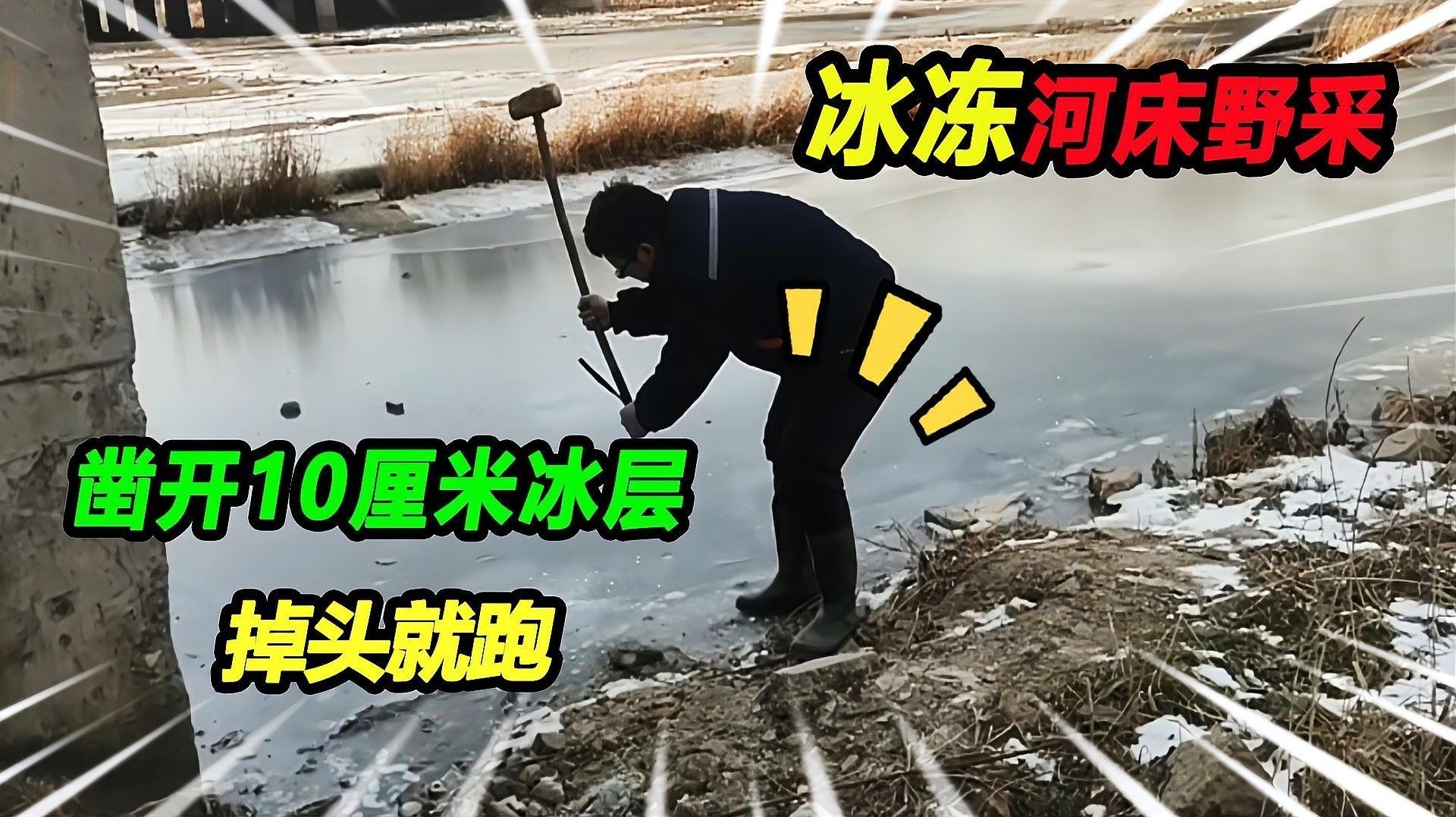 如何判斷東方蠑螈是否感染？（東方蠑螈感染的診斷方法）