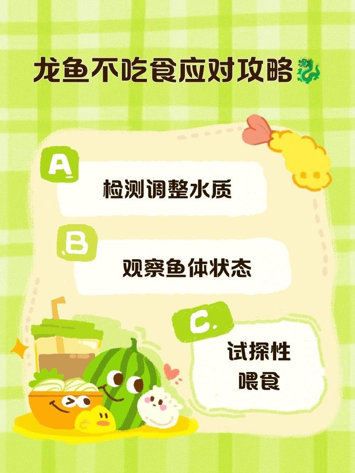 龍魚停食后如何調整水質（龍魚停食期間水質如何調整）