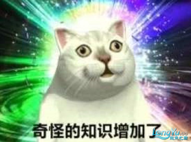話題:養(yǎng)魚核心技術科普教育