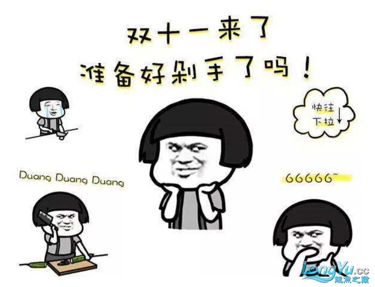 話題:養(yǎng)魚核心技術科普教育