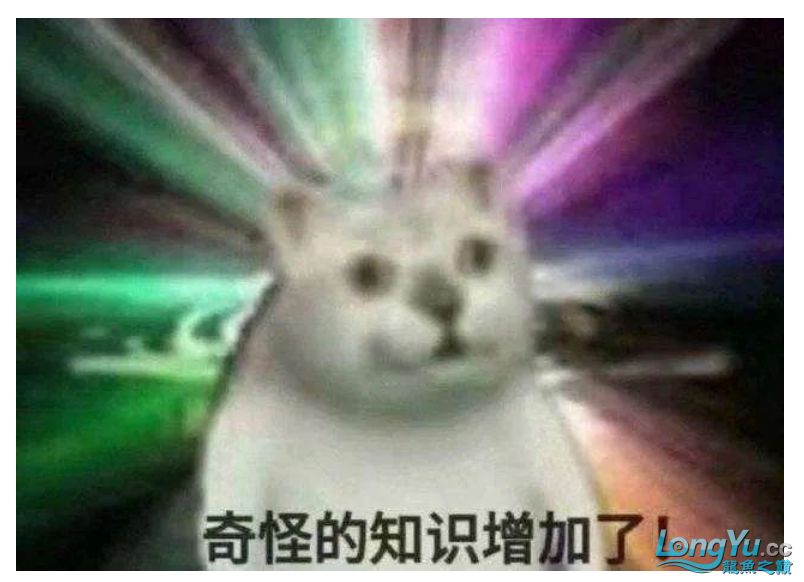 話題:養(yǎng)魚核心技術科普教育
