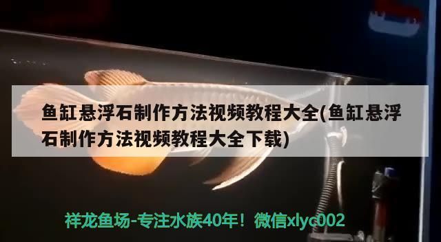 魚缸懸浮石制作方法視頻教程大全(魚缸懸浮石制作方法視頻教程大全下載)