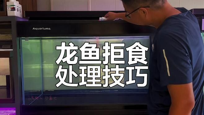 龍魚換季厭食如何處理（愛養love寵物龍魚拒食的處理方法與處理方法）