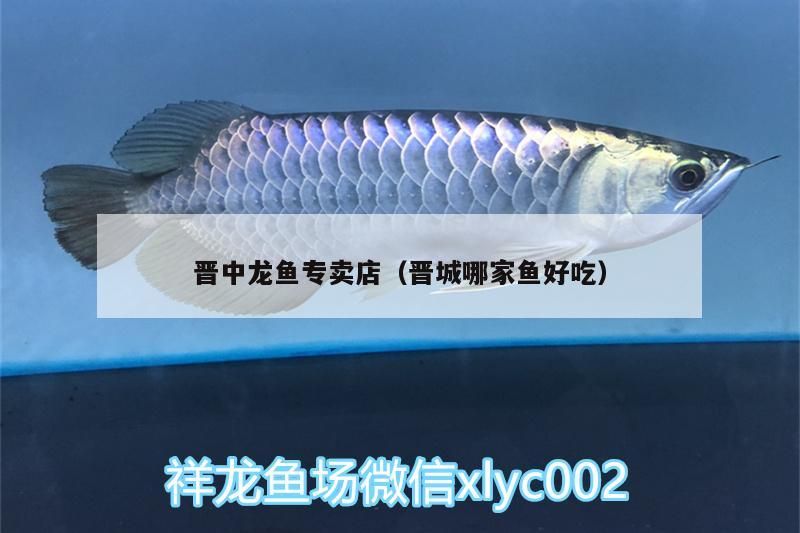晉中龍魚專賣店（晉城哪家魚好吃）（關于晉中龍魚專賣店和晉城哪家魚好吃的介紹）