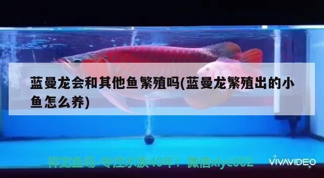 金龍魚植物油好吃嗎：金龍魚純植物油系列—涼拌菜的完美伴侶（金龍魚純植物油系列）