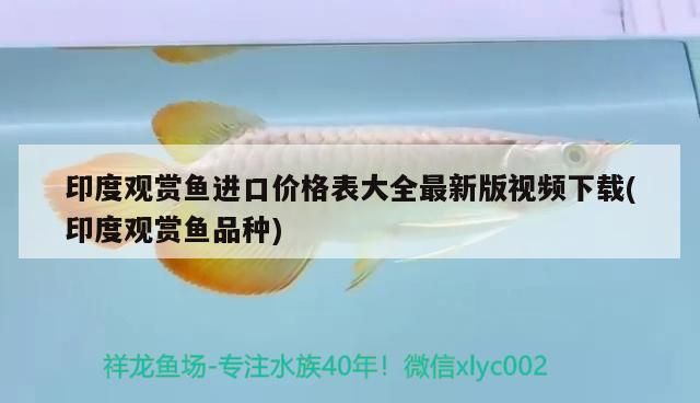 印度觀賞魚進口價格表大全最新版視頻下載(印度觀賞魚品種)（印度觀賞魚價格表）