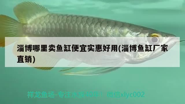 淄博哪里賣魚缸便宜實惠好用(淄博魚缸廠家直銷)（淄博哪里賣魚缸便宜實惠好用） 淄博哪里賣魚缸便宜實惠好用(淄博魚缸廠家直銷)（淄博哪里賣魚缸便宜實惠好用） 觀賞魚百科