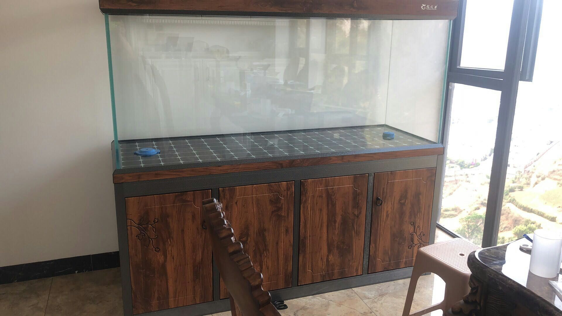 蘇州水族館超白龍魚魚缸定制批發（水族館超白龍魚魚缸定制批發）