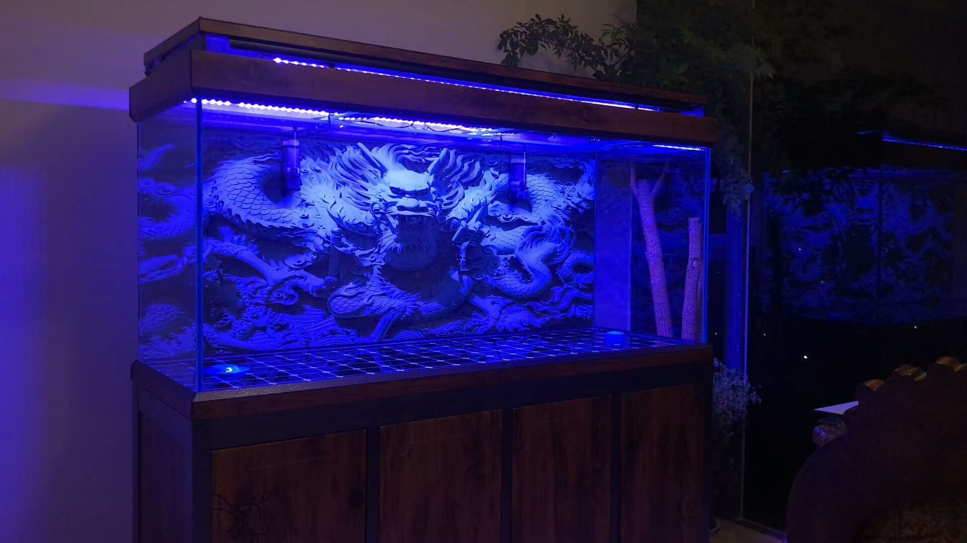 蘇州水族館超白龍魚魚缸定制批發（水族館超白龍魚魚缸定制批發）