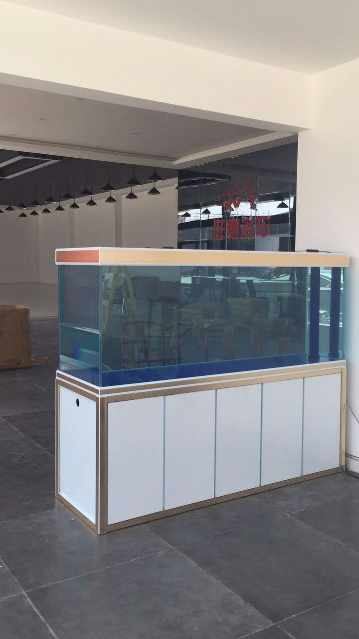 蘇州水族館超白龍魚魚缸定制批發（水族館超白龍魚魚缸定制批發）