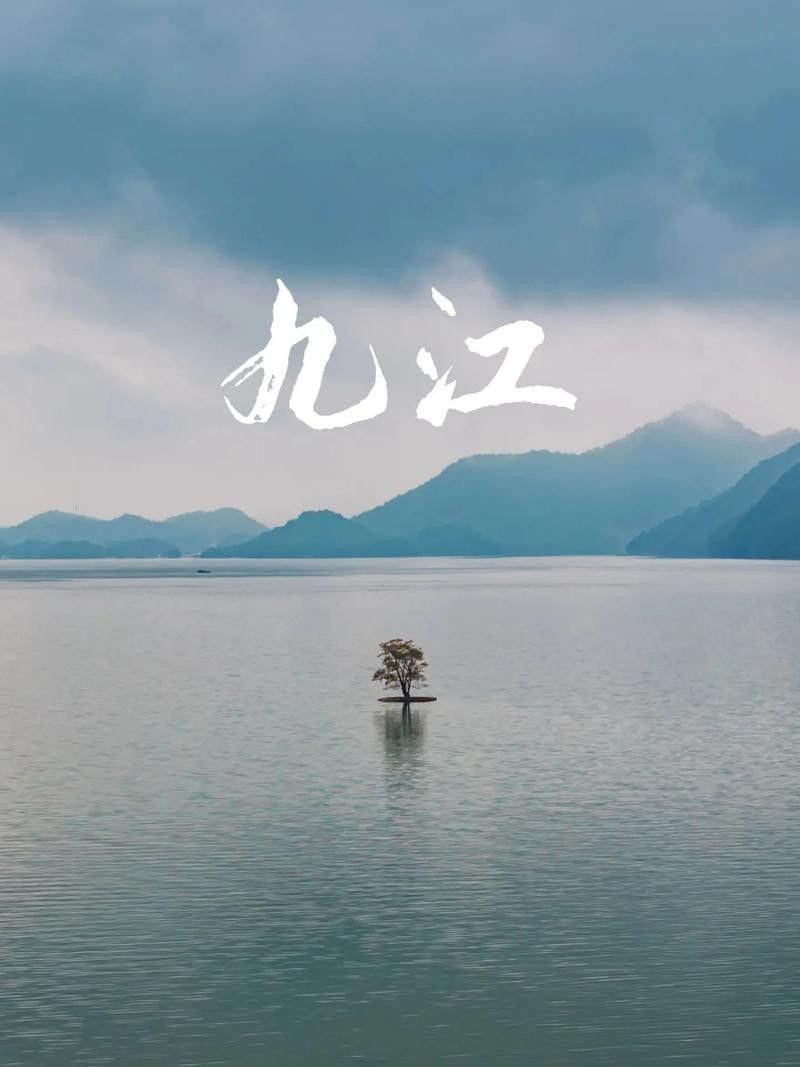 魚缸清洗公司有哪些，眉山魚缸清洗公司廣州銘流環保科技有限公司注冊地址