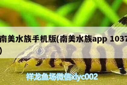 南美水族手機版(南美水族app1037)（南美水族手機版）