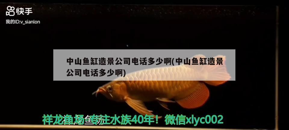 中山魚(yú)缸造景公司電話多少啊(中山魚(yú)缸造景公司電話多少啊)
