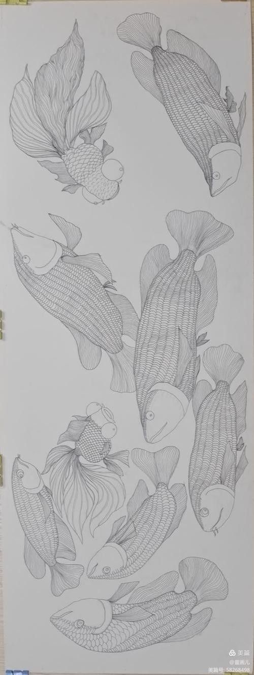 給我一張金龍魚素描圖片參考