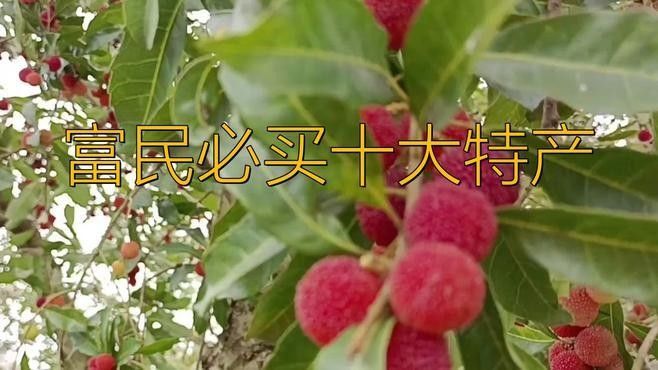 富民鱒龍魚村有哪些特色菜品？