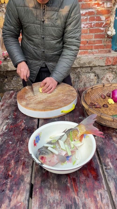 哪些蔬菜可以喂給火龍魚（哪些蔬菜可以喂給火龍魚，熱帶魚飼養(yǎng)指南） 哪些蔬菜可以喂給火龍魚（哪些蔬菜可以喂給火龍魚，熱帶魚飼養(yǎng)指南） 龍魚百科 第2張