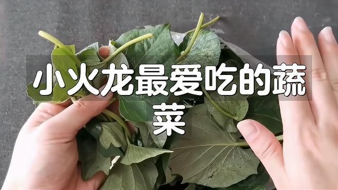 哪些蔬菜可以喂給火龍魚（哪些蔬菜可以喂給火龍魚，熱帶魚飼養(yǎng)指南） 哪些蔬菜可以喂給火龍魚（哪些蔬菜可以喂給火龍魚，熱帶魚飼養(yǎng)指南） 龍魚百科 第1張