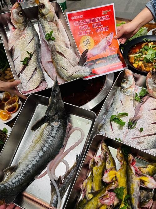 哪些蔬菜可以喂給火龍魚（哪些蔬菜可以喂給火龍魚，熱帶魚飼養(yǎng)指南） 哪些蔬菜可以喂給火龍魚（哪些蔬菜可以喂給火龍魚，熱帶魚飼養(yǎng)指南） 龍魚百科 第5張