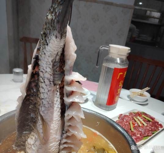 哪些蔬菜可以喂給火龍魚（哪些蔬菜可以喂給火龍魚，熱帶魚飼養(yǎng)指南） 哪些蔬菜可以喂給火龍魚（哪些蔬菜可以喂給火龍魚，熱帶魚飼養(yǎng)指南） 龍魚百科 第4張