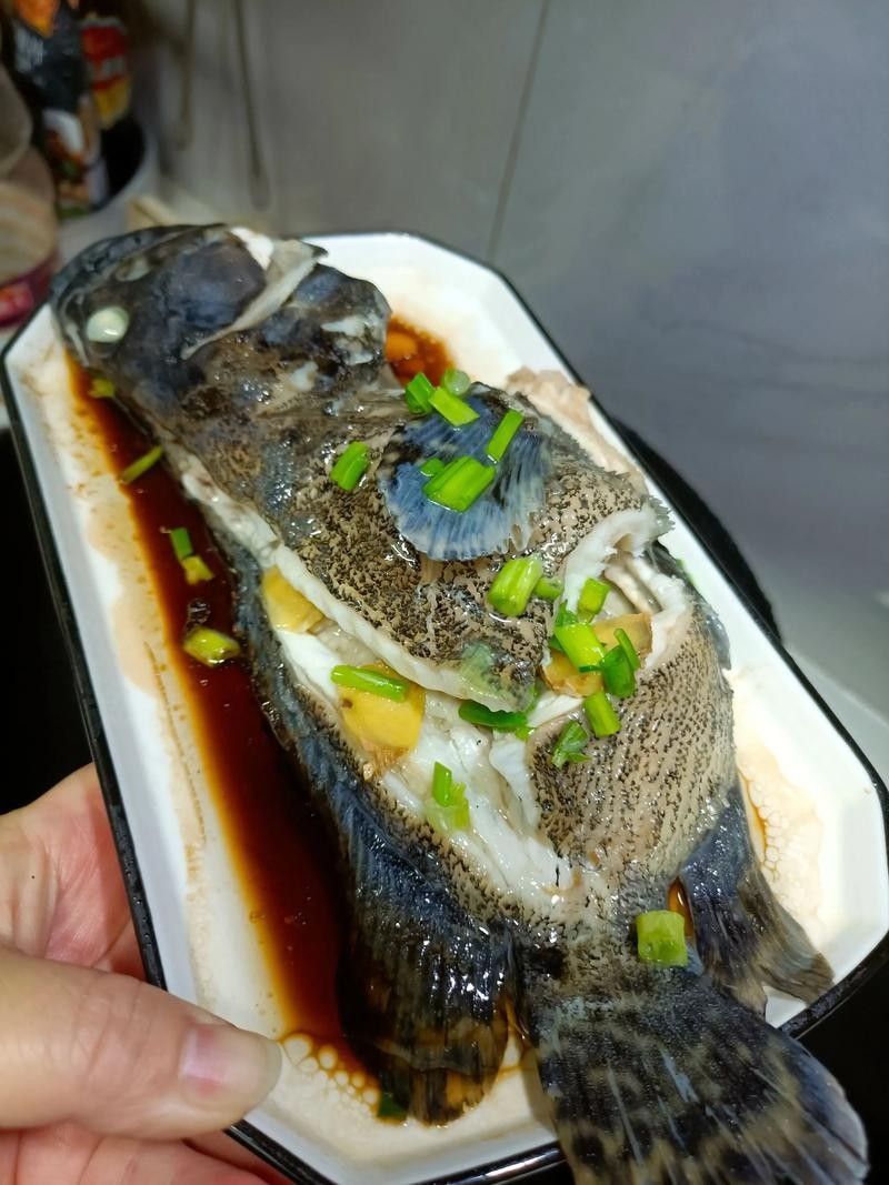 哪些蔬菜可以喂給火龍魚（哪些蔬菜可以喂給火龍魚，熱帶魚飼養(yǎng)指南） 哪些蔬菜可以喂給火龍魚（哪些蔬菜可以喂給火龍魚，熱帶魚飼養(yǎng)指南） 龍魚百科 第7張