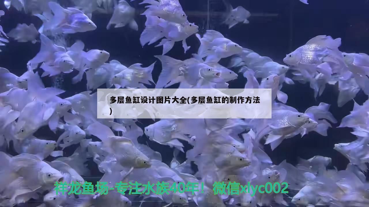 多層魚缸設計圖片大全(多層魚缸的制作方法)