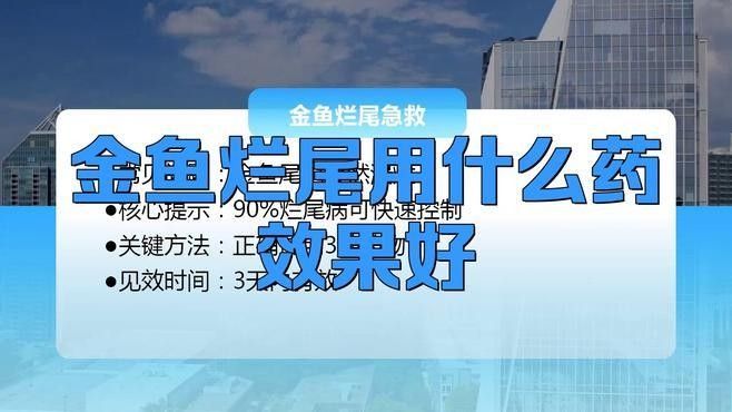 龍睛金魚爛尾后如何處理？