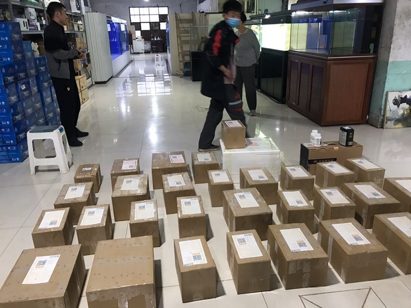 駐馬店觀賞魚市場發往全國各地的銘龍專用魚糧（銘龍專用魚糧基本售空）