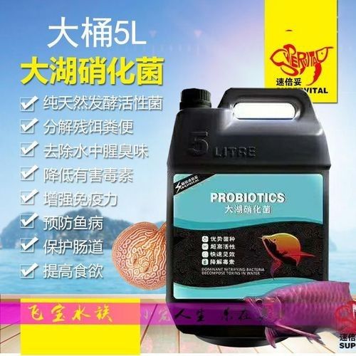 速倍妥有哪些熱銷產(chǎn)品？