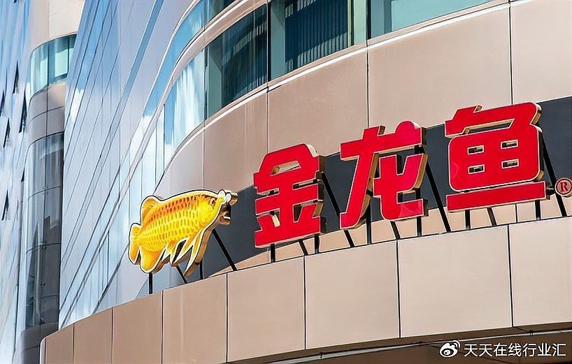 金龍魚種植商的利潤如何（金龍魚種植商利潤情況分析）