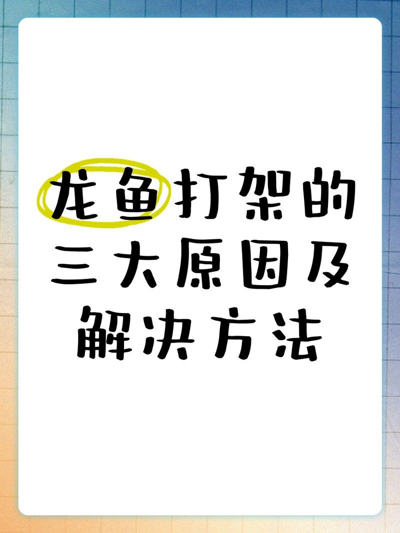 如何降低龍魚打架的風(fēng)險（龍魚打架怎么辦）