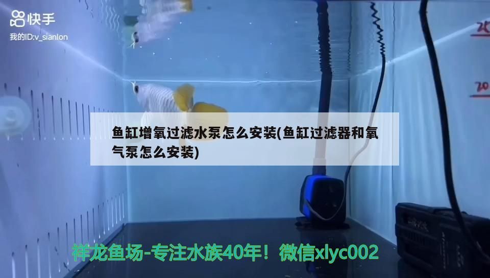 南昌龍魚專賣店（南昌哪里有賣魚的地方）（南昌龍魚專賣店）