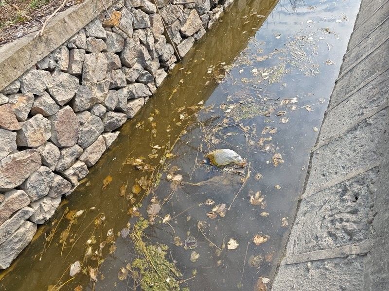 江輝亮如何控制水質？（智慧水務云平臺江輝亮成功研發出高效水質凈化技術）
