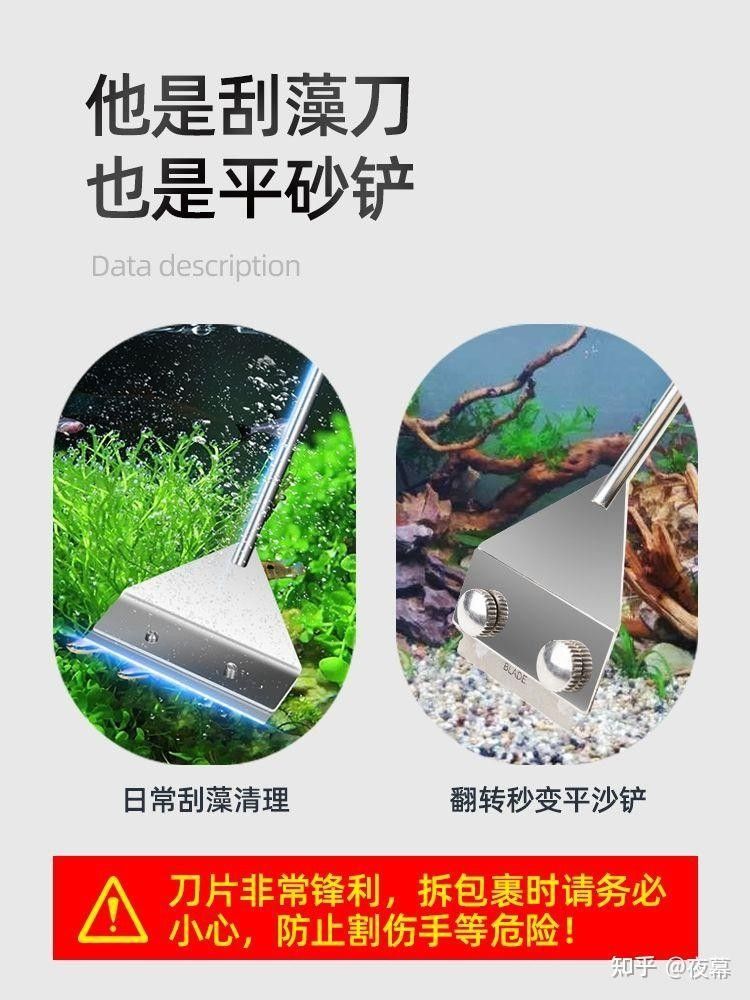 女王大帆和哪些魚混養最佳？