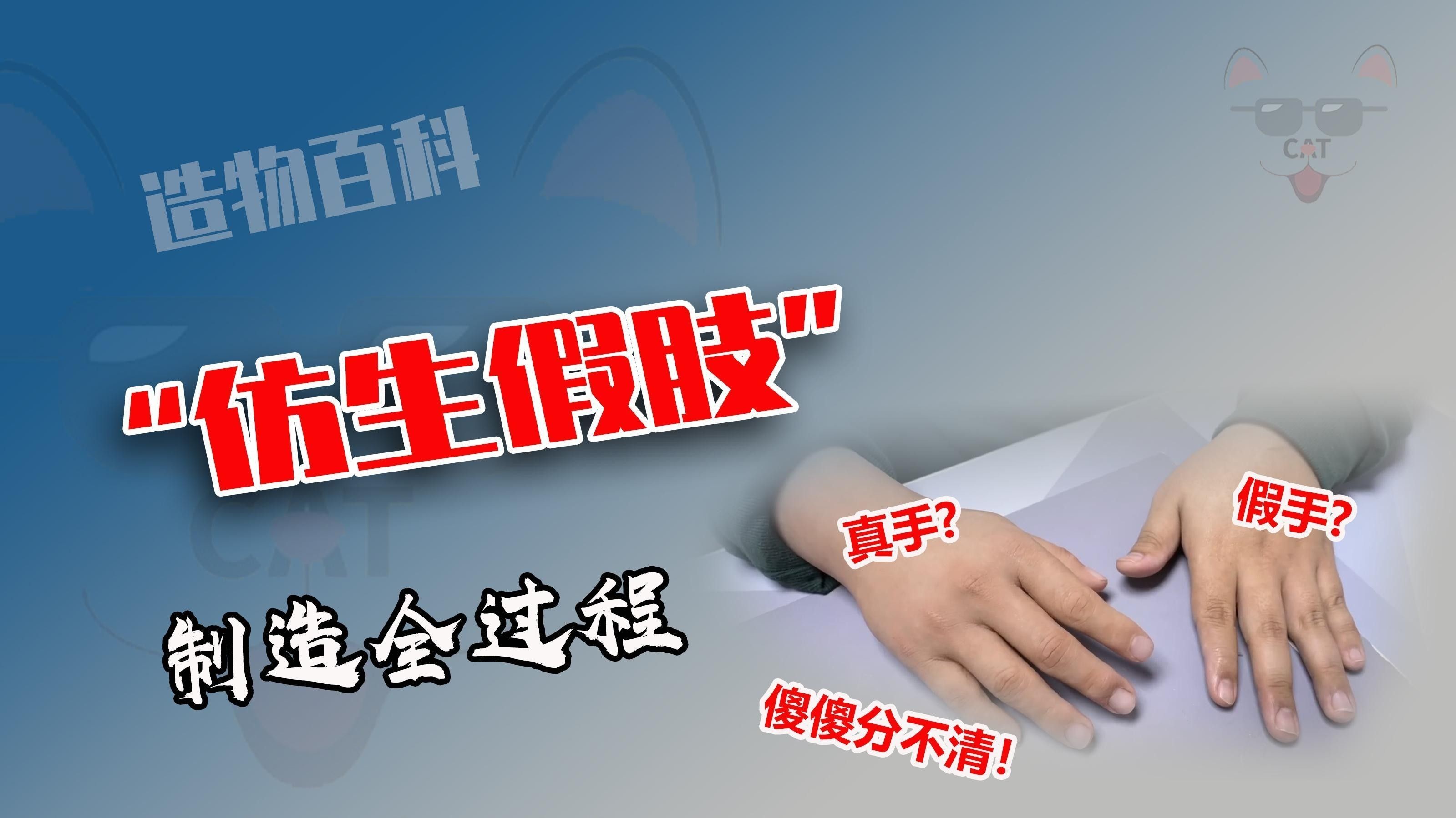 能否提供更詳細(xì)的制作步驟（小森柚子手工制作教程）