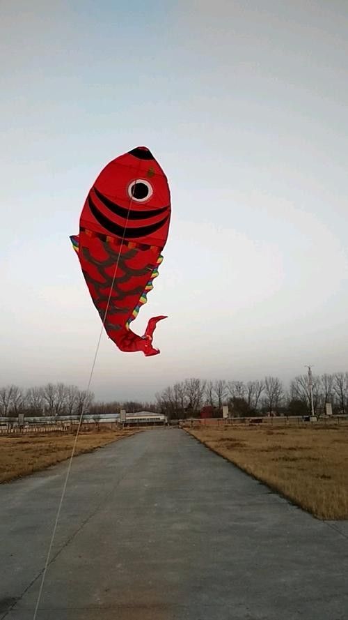 推薦一些紅金龍魚高清靜態壁紙（36種紅金龍魚高清靜態壁紙推薦，36種紅龍你見過一半）